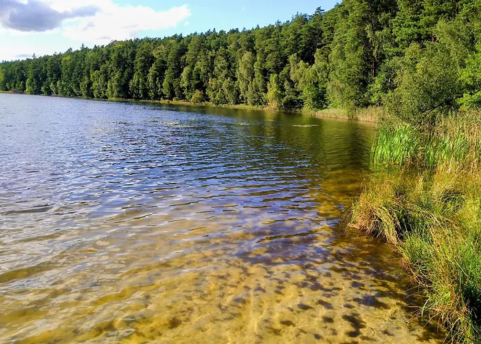 Kozianka Holiday home *